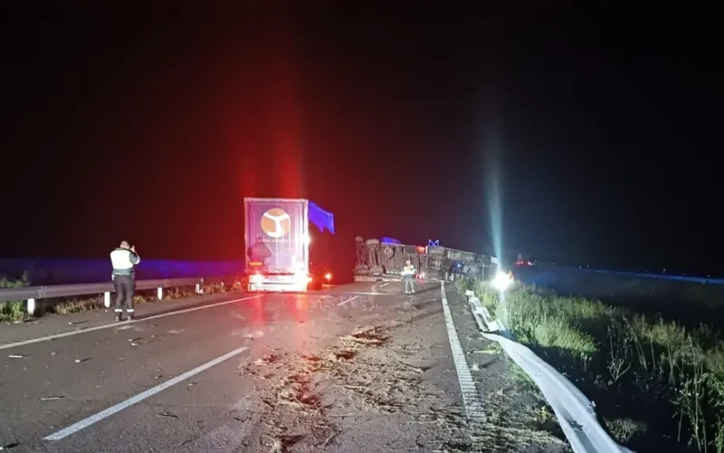 Accident camió
