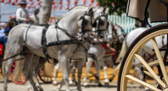 Un bebé herido al ser atropellado por un caballo en la Feria de Sevilla