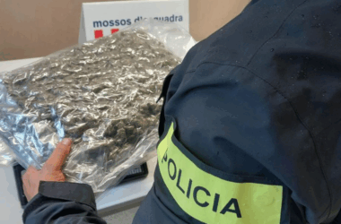 Marihuana