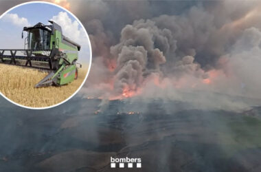 Foc Segarra